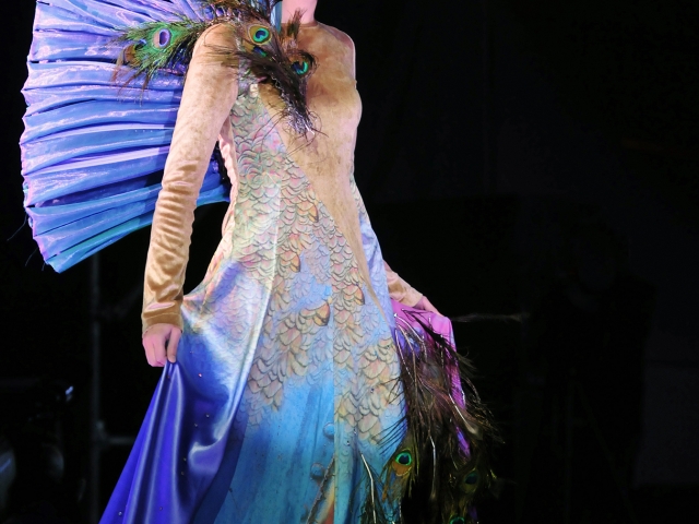 Fashion Show